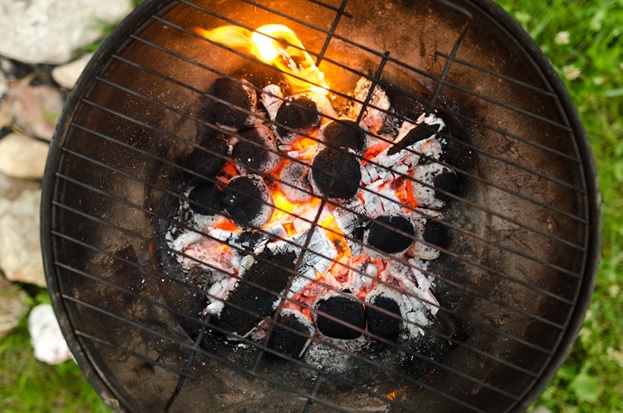 Gas Grills 