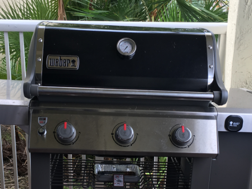 Genesis ii e310 sale